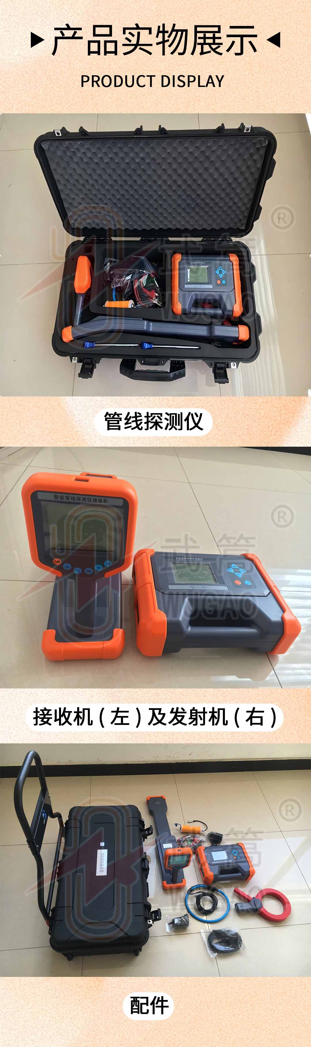 圖層 6.jpg
